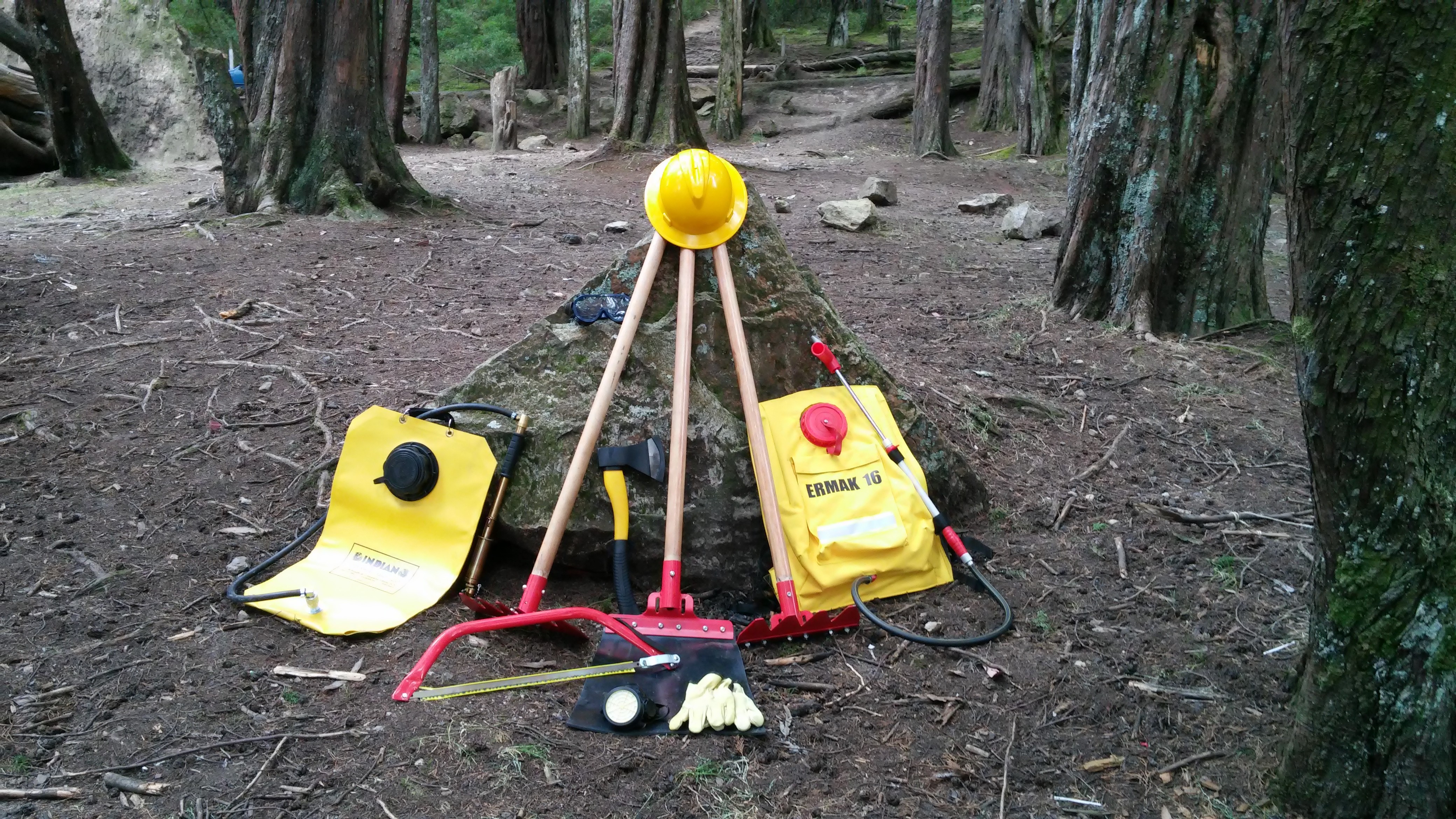 Equipo forestal